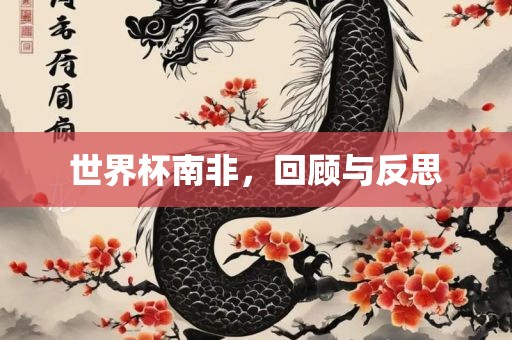 世界杯南非，回顾与反思