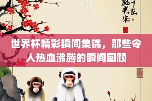 世界杯精彩瞬间集锦，那些令人热血沸腾的瞬间回顾