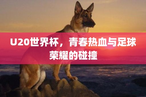 U20世界吉安市靖泰电力工程有限公司杯，青春热血与足球荣耀的碰撞