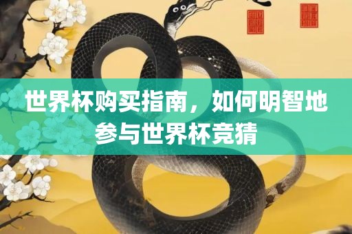 世界杯购买指南，如何明智地参与世界杯竞猜