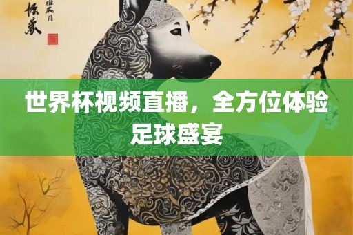 世界杯视频直播，全方位体验足球盛宴