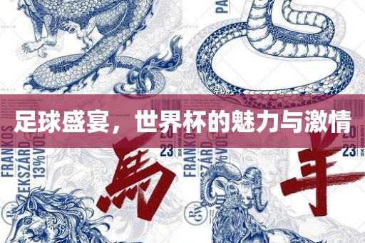 足球盛宴，世界杯的魅力与激情