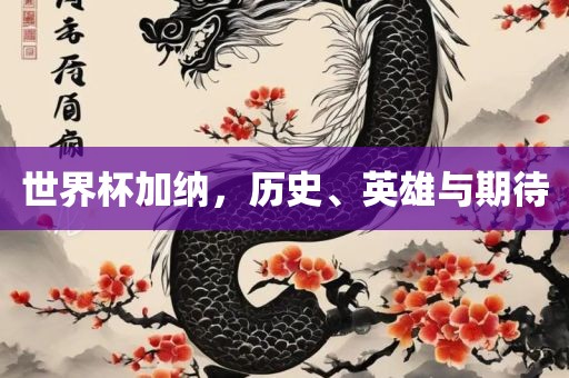 世界杯加纳，历史、英吉安市靖泰电力工程有限公司雄与期待