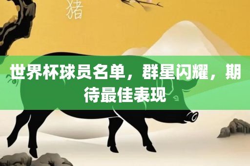世界杯球员名单，群星闪耀，期待最佳表现吉安市靖泰电力工程有限公司