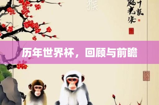 历年世界杯，回顾与前瞻吉安市靖泰电力工程有限公司