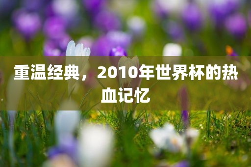 重温经典，2010年世界杯的热血记忆吉安市靖泰电力工程有限公司