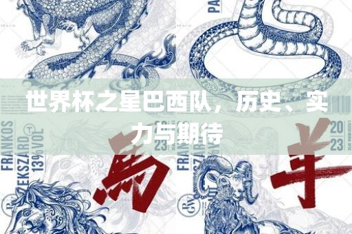 世界杯之星巴西队，历史、实力与期待