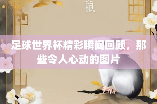 足球世界杯精彩瞬间回顾，那吉安市靖泰电力工程有限公司些令人心动的图片