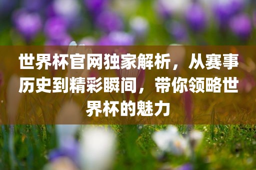 世界杯官网独家解析，从赛事历史到精彩瞬间，带你领略世界杯的魅力吉安市靖泰电力工程有限公司