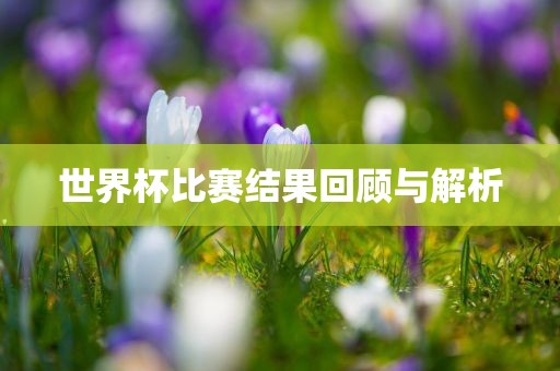 世界杯比赛结果回顾与解析