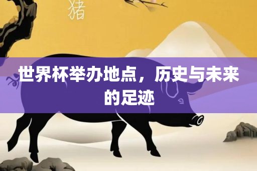 世界杯举办地点，历史与未来的足迹