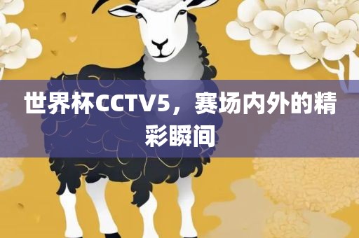 世界杯CCTV5，赛场内外的精彩瞬间