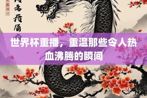 世界杯重播，重温那些令人热血沸腾的瞬间