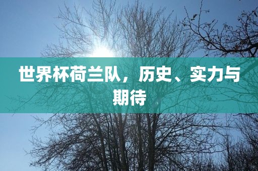 世界杯荷兰队，历史、实力与期待