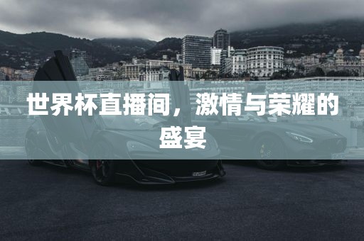 世界杯直播间，激情与荣耀的盛宴