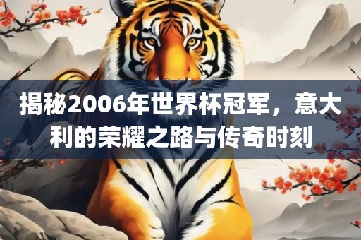 揭秘2006年世界杯冠军，意大利的荣耀之路与传奇时刻