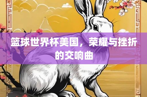 篮球世界杯美国，荣耀与挫折的交响曲