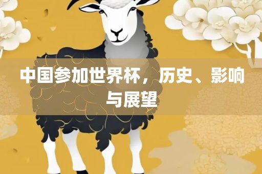 中国参加世界杯，历史、影响与展望