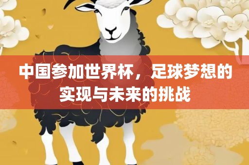 中国参加世界杯，足球梦想的实现与未来的挑战吉安市靖泰电力工程有限公司