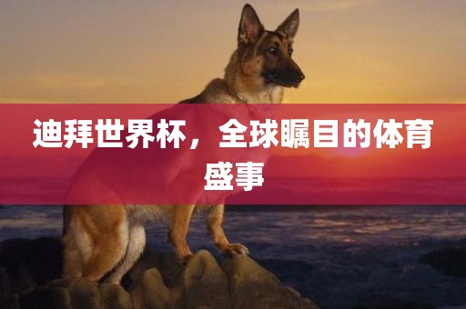 迪拜世界杯，全球瞩目的体育盛事