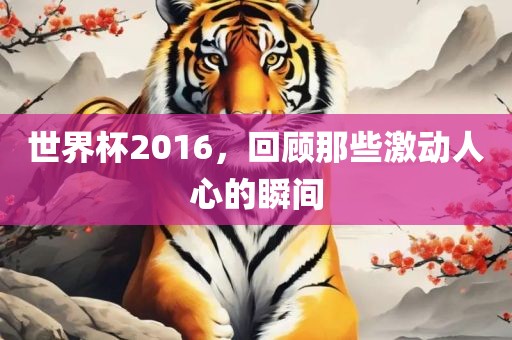 世界杯2016，回顾那些激动人心的瞬间
