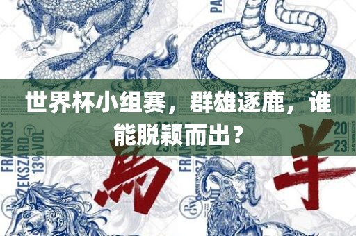 世界杯小组赛，群雄逐鹿，谁能脱颖而出？