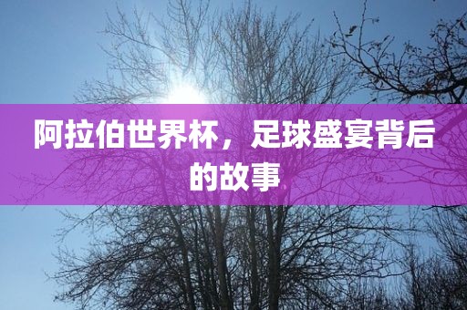 阿拉伯世界杯，足球盛宴背后的故事