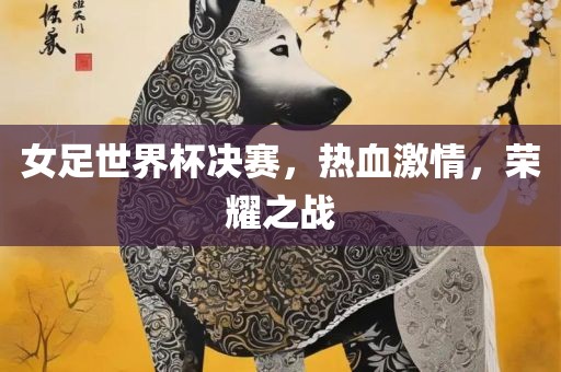 女足世界杯决赛，热血激情，荣耀之战