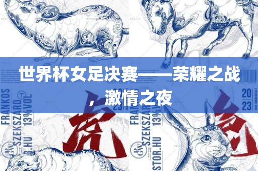 世界杯女足决赛——荣耀之战，激情之夜