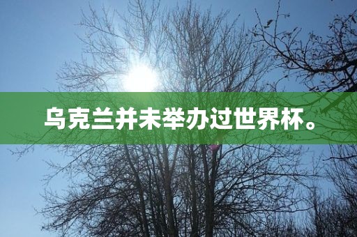 乌克兰并未举办过世界杯。吉安市靖泰电力工程有限公司