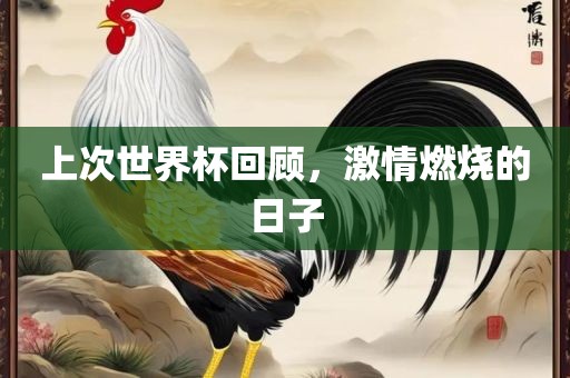 上次世界杯回顾，激情燃烧的日子