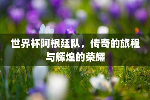 世界杯阿根廷队，传奇的旅程与辉煌的荣耀