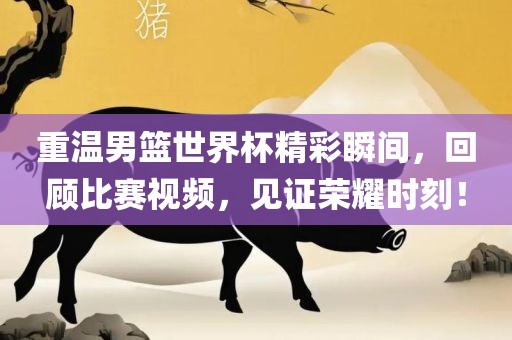 重温男篮世界杯精彩瞬间，回顾比赛视频，见证荣耀时刻！吉安市靖泰电力工程有限公司