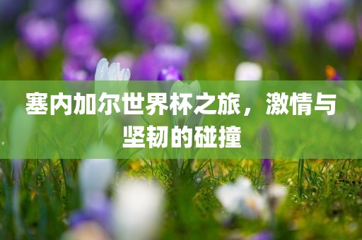 塞内加尔世界杯之旅，激情与坚韧的碰撞