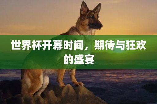 世界杯开幕时间，期待与狂欢的盛宴