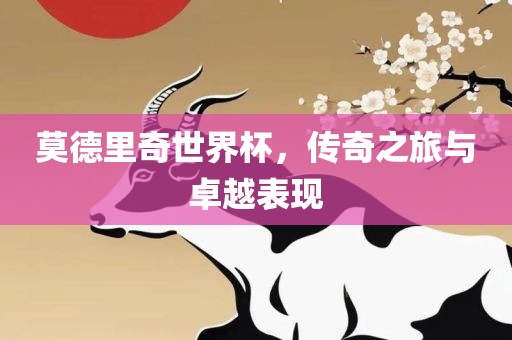 莫德里奇世界杯，传奇之旅与卓越表现