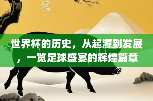 世界杯历史 第5页