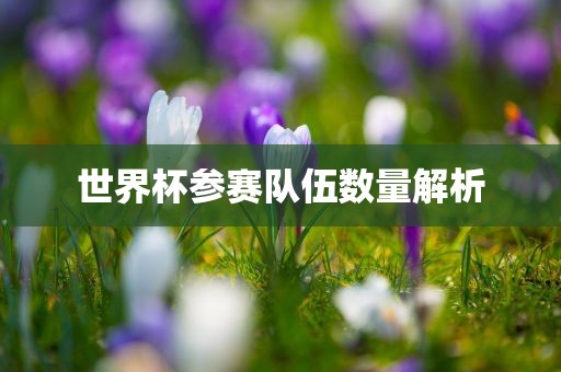 吉安市靖泰电力工程有限公司世界杯参赛队伍数量解析