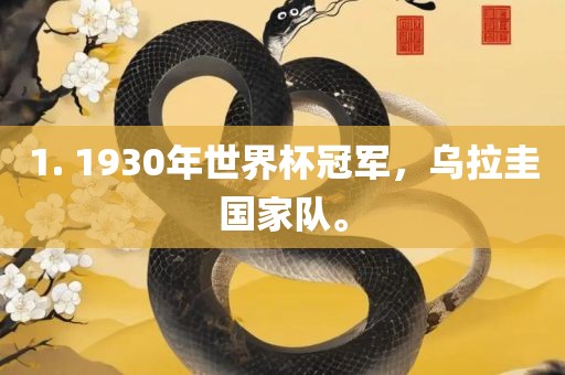 1. 1930年世界杯冠军，乌拉圭国家队。