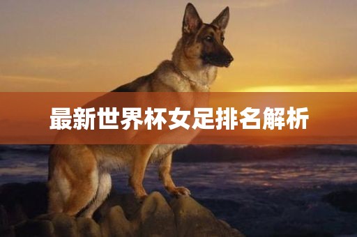 最新世界杯女足排名解析