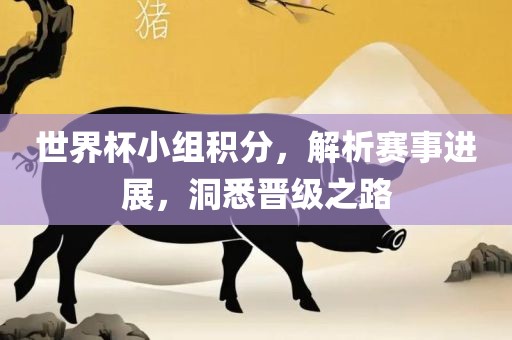 世界杯小组积分，解析赛事进展，洞悉晋级之路