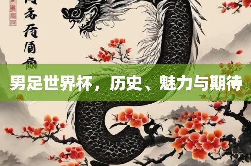 男足世界杯，历史、魅力与期待吉安市靖泰电力工程有限公司