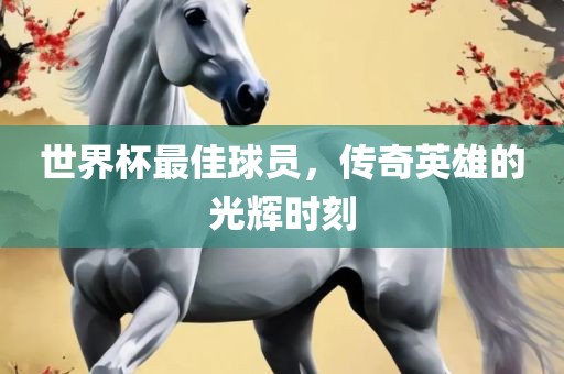 世界杯最佳球员，吉安市靖泰电力工程有限公司传奇英雄的光辉时刻