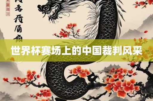 世界杯吉安市靖泰电力工程有限公司赛场上的中国裁判风采