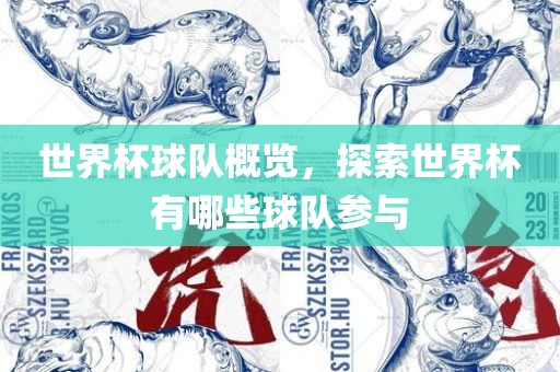 世界杯球队概览，探索世界杯有哪些球队参与