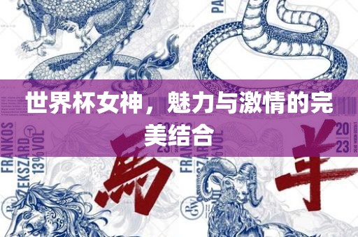 世界杯女神，魅力与激情的完美结合