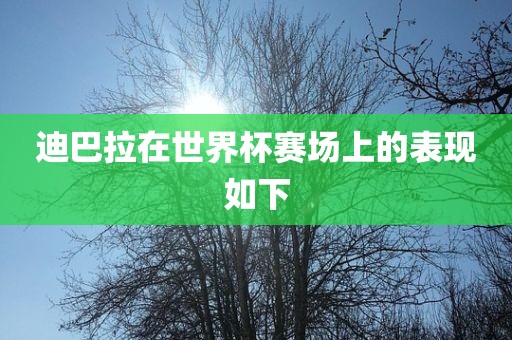 迪巴拉在世界杯赛场上的表现如下