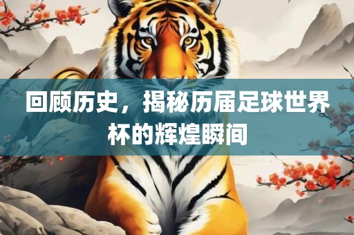 回顾历史，揭秘历届足球世界杯的辉煌瞬间吉安市靖泰电力工程有限公司