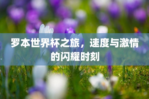 罗本世界杯之旅，速度与激情的闪耀时刻吉安市靖泰电力工程有限公司