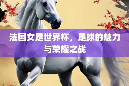 法国女足世界杯，足球的魅力与荣耀之战吉安市靖泰电力工程有限公司
